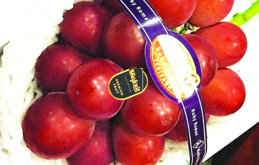 Trái cây ngoại “độc, lạ”: ăn một lần cho biết vì... đắt