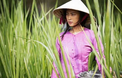 Để Liên hoan phim Việt Nam thành thương hiệu quốc gia: Giấc mộng trầm kha