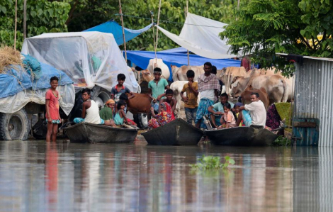 Cuộc sống khốn khổ của người dân Nam Á trong trận lũ lụt kinh hoàng