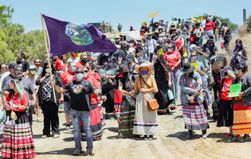 212 nhà hoạt động môi trường bị sát hại trong năm 2019