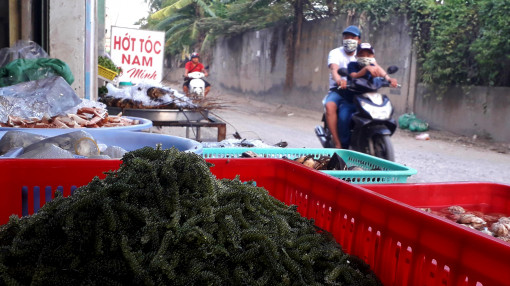 "Món ăn quý tộc" rong nho được bán ở vỉa hè