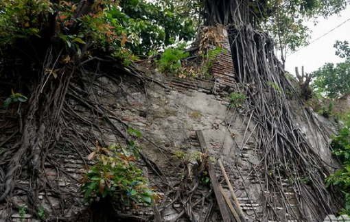 Chạy đua với thời gian để bảo vệ tường cổ 400 tuổi