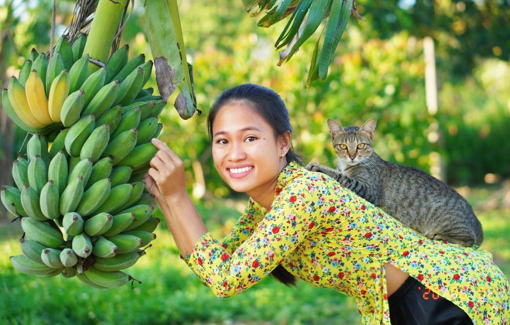 Chuyện người bỏ phố về quê: Sống ở thành phố 10 năm là đã đủ