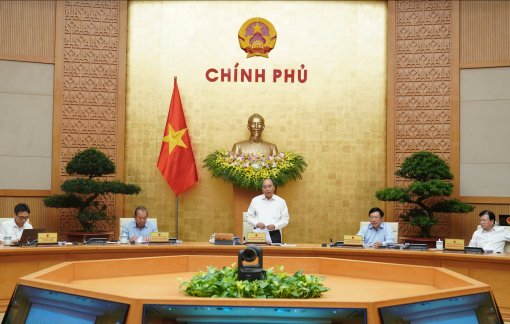 Những điểm sáng kinh tế giữa đại dịch COVID-19