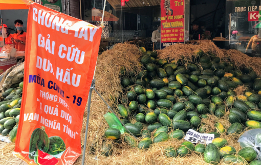 Dưa hấu Long An lại đổ về Sài Gòn chờ "giải cứu"