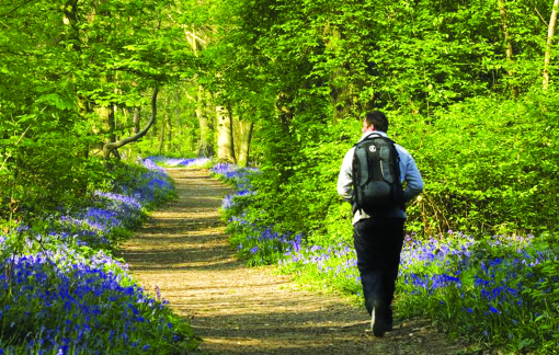 “Kê toa xanh” khuyến khích người dân tìm về thiên nhiên