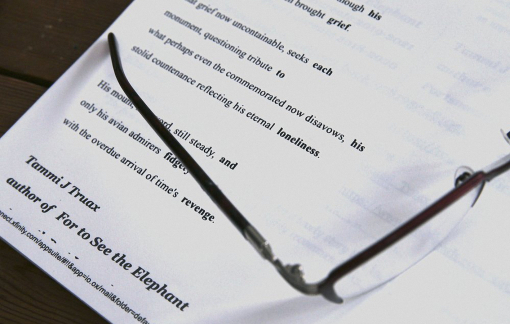 Tham gia chống dịch bằng… thơ