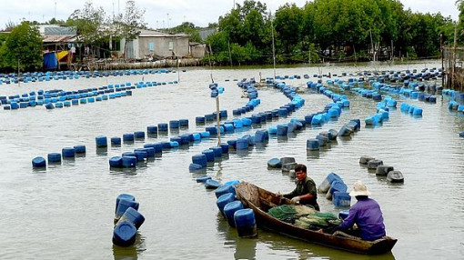 Dân mong tháo gỡ vướng mắc khi xây nhà trên đất nông nghiệp