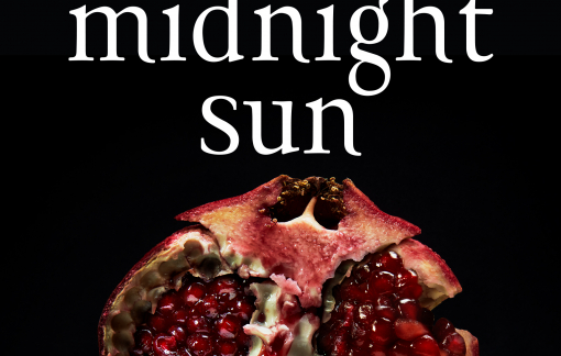 Tác giả "Chạng vạng" và tour giao lưu làm "sáng bừng" ngành xuất bản thế giới