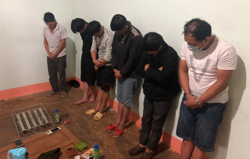 Tạm giữ nhóm trộm chó liên tỉnh