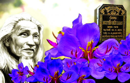 “Màu tím hoa sim” - bi kịch của Hữu Loan