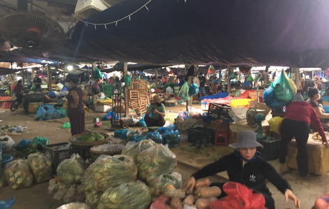 Bệnh nhân 987 bán hoa cúng ở chợ đầu mối Hòa Cường, Đà Nẵng kêu gọi người mua khai báo y tế