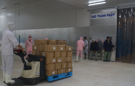 Thủy sản Việt Nam xuất khẩu sang Trung Quốc có thể phải kiểm tra COVID-19