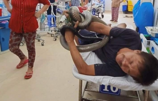 Bị rắn cắn, ôm luôn rắn vào bệnh viện cấp cứu