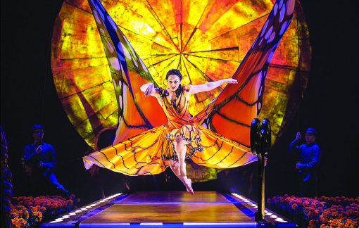 Nghệ thuật truyền thống và tạp kỹ “sống lay lắt” trong đại dịch