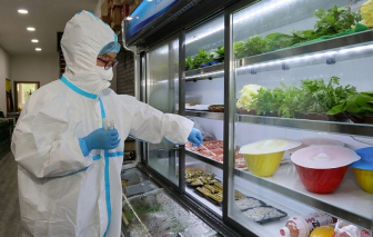 Không tìm thấy virus SARS-CoV-2 trên bao bì và trong thực phẩm đông lạnh vào Việt Nam