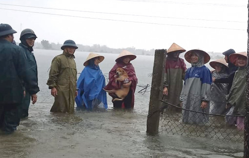 4,2 triệu viên khử khuẩn nước sẽ được cấp cho các địa phương bị lũ