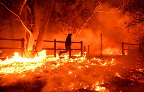 Vì sao California xảy ra những đợt hỏa hoạn khủng khiếp?