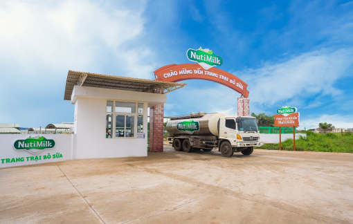 Hai chỉ số quan trọng quyết định chất lượng sữa tươi mẹ cần biết