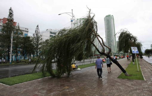 Triều Tiên xem xét trừng phạt các quan chức bất tuân mệnh lệnh