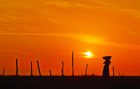 Về già trắng tay