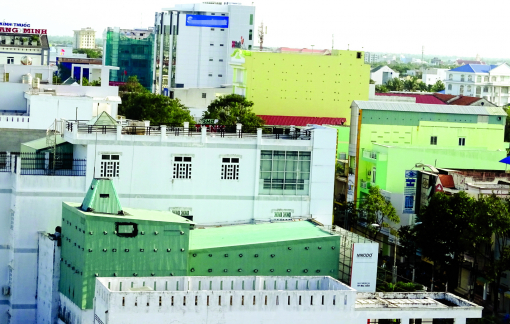 Khi đô thị thành nơi đua nhau nuôi yến