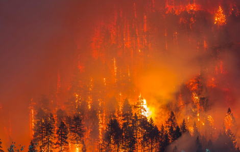 Hàng chục người mất tích vì cháy rừng tại bang Oregon, Mỹ