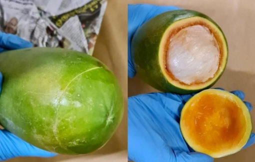 Singapore: Giấu ma túy trong trái đu đủ, 8 người bị bắt