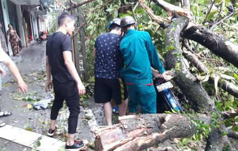 Thừa Thiên - Huế: 3 người tử vong do bão số 5