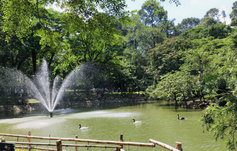 Rong chơi Sài Gòn: “Đây công viên chốn hẹn hò…”