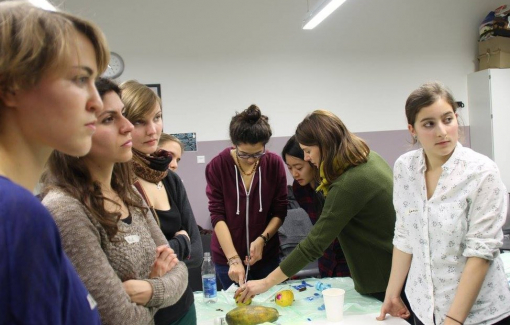 Nữ sinh viên y khoa Đức muốn học thêm về... phá thai