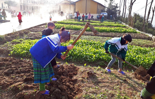 Hướng nghiệp cho học sinh từ tiểu học: Sao phải chần chừ!