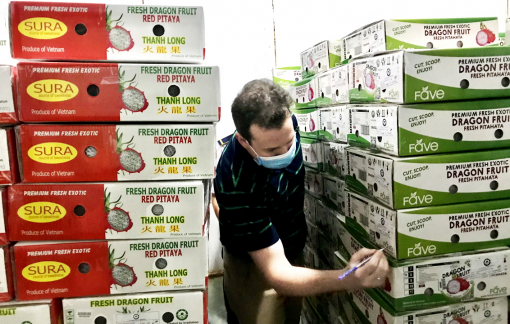 Vào được thị trường Âu, Mỹ... trái cây rộng đường xuất khẩu