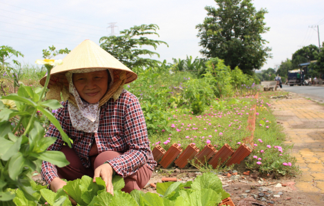 Học dân ngoại thành chống "rác tặc" bằng đường hoa