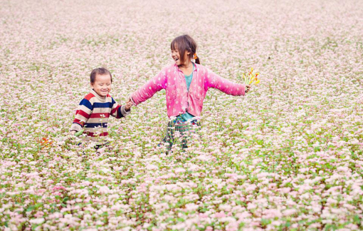 Du lịch "đánh cược" vào tour cuối năm