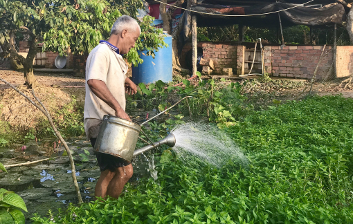 Người già trong căn nhà vắng: Bận rộn để không cô đơn