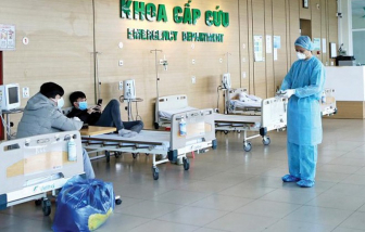 2 chuyên gia nước ngoài được Việt Nam chữa khỏi COVID-19