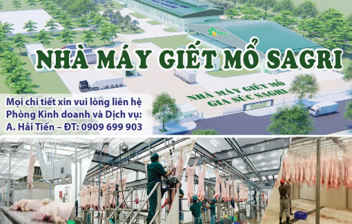 Nhà máy giết mổ gia súc Sagri công nghệ châu Âu tại TP.HCM