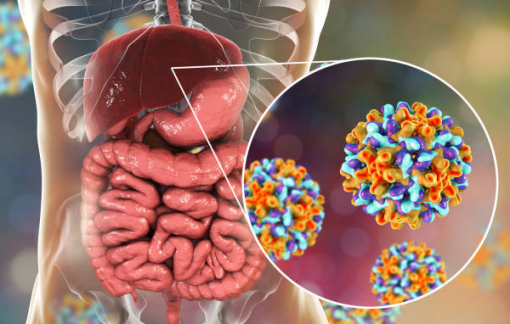 Clip: Virus viêm gan C tấn công cơ thể như thế nào?