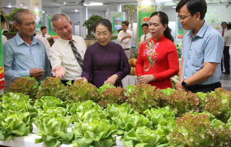 Bưởi da xanh, dưa lưới..."made in Sài Gòn" lên phố