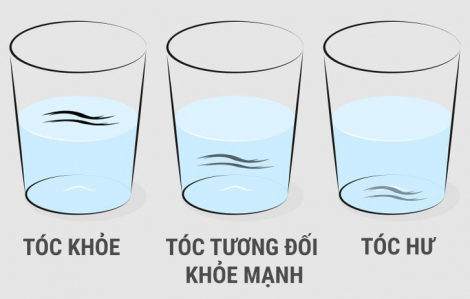 4 cách kiểm tra sức khỏe của tóc