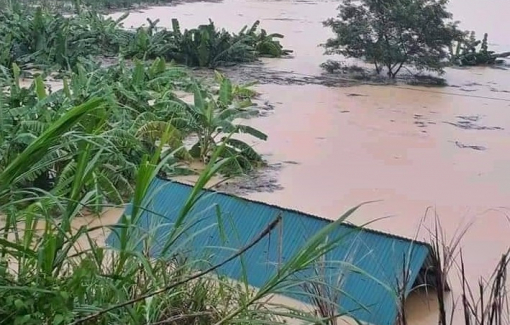 Sau bão số 6, bão số 7 lại ập vào các tỉnh miền Trung