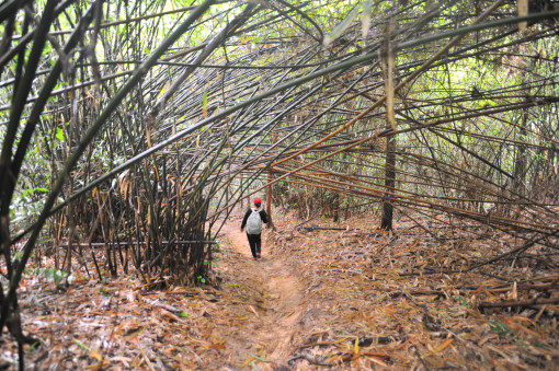 Những trải nghiệm khó quên khi trekking núi Dinh