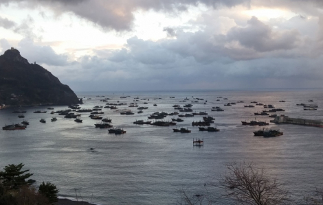 “Hạm đội” tàu cá Trung Quốc bị cáo buộc làm suy giảm nguồn dự trữ thủy sản của thế giới