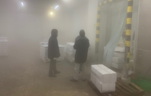 2,5 tấn cá hồi quá hạn sử dụng 1 năm vẫn được chế biến