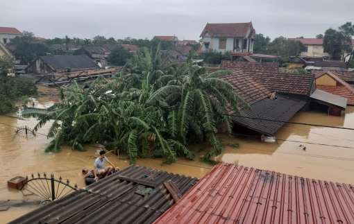 Mất sạch rồi, chỉ sau một đêm...