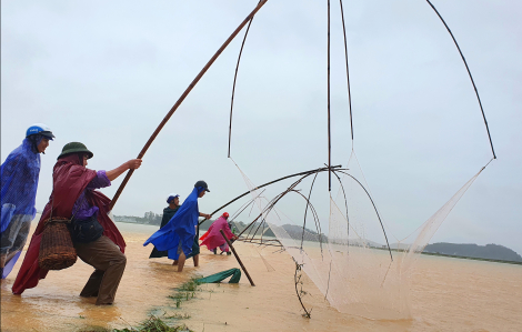 Nước sông Lam dâng cao, người dân đổ xô ra ruộng bắt cá
