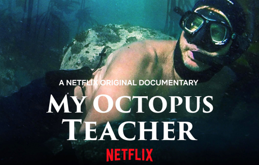 "My Octopus Teacher'': Thế giới hoang dã dạy chúng ta điều gì?
