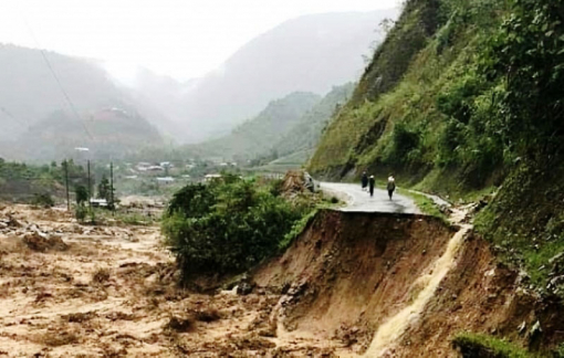 "Hô hào bảo vệ môi trường nhưng cho phép dự án khởi công trong lõi rừng"