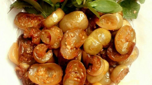 Chum cà cứu đói của bà tôi